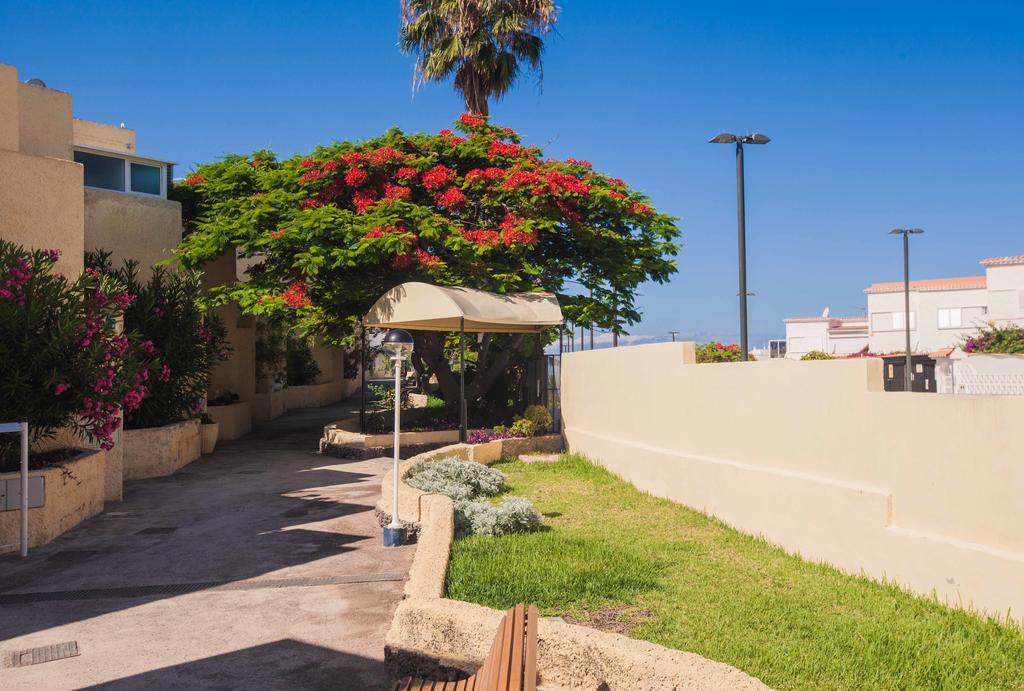 Apartamentos El Cortijo プラヤ・デ・ラス・アメリカス 部屋 写真